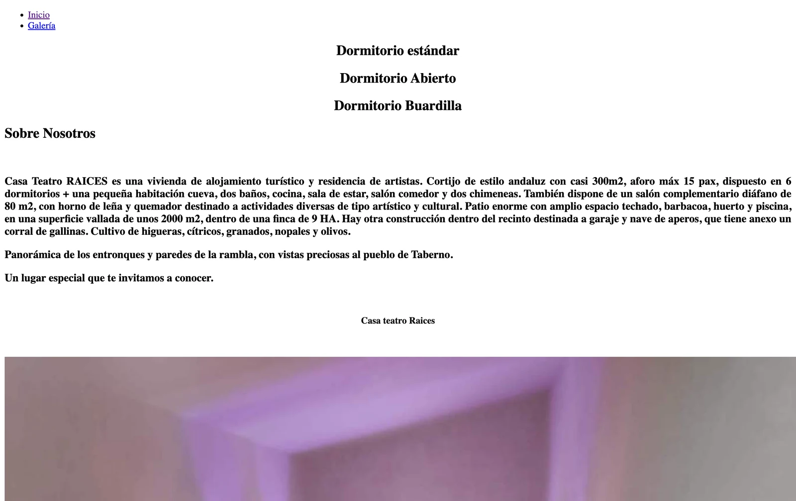 Web anterior de Casa Teatro Raíces: título Inicio, sin datos estructurados